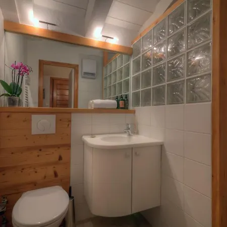 Sainte-foy-l'argentiere Sleeps 4 Pool *