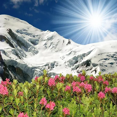 Sainte-foy-l'argentiere Sleeps 4 Pool 아파트 *